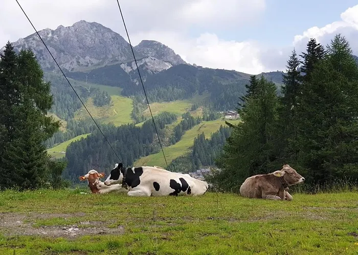 Giusto Chalet Kotschach-Mauthen
